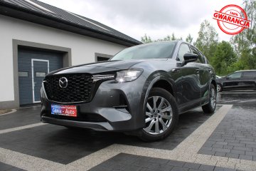 Gwarancja_Minimalny Przebieg_Pierwszy Właściciel_Exlusive Lin / FV 23%