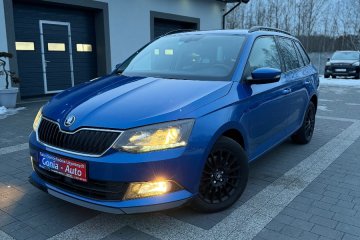 **Skoda_Fabia_DSG_Automat_Śliczny_Lakier**