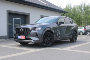 Gwarancja_Minimalny Przebieg_Pierwszy Właściciel_Exlusive Lin / FV 23%