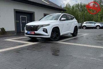 Gwarancja_Jak Nowy_Śliczny_Executive_Plug-In !
