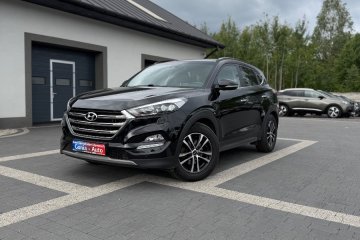 Gwarancja_Zarejestrowany w Kraju_Executive_AWD !!!