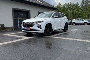 Gwarancja_Jak Nowy_Śliczny_Executive_Plug-In !