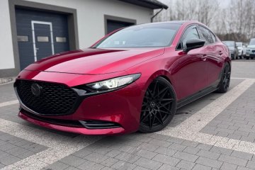 Gwarancja_Nietuzinkowa Wersja_Ledy_Łopatki !!!